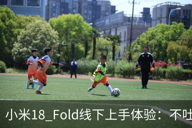 小米18 Fold线下上手体验：不吐不快，说说优缺点！