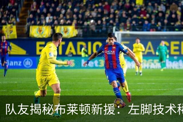 队友揭秘布莱顿新援：左脚技术稀缺，拥有一颗队长之心